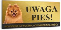 Tabliczka ZŁY PIES SZPIC MINIATUROWY aluminiowa