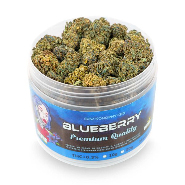 Susz konopny CBD | BLUEBERRY | 100 g zdjęcie 4