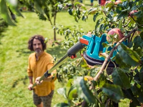 zbierak do owoców -cs - hg-03115-20 na Arena.pl