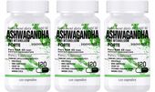 3x 1000MG ASHWAGANDHA PREMIUM KSM-66 STRES SEN DEPRESJA ZMĘCZENIE 120