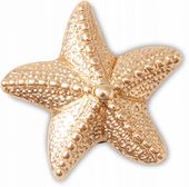 Przypinka Crocs Jibbitz Pin Do Butów Gold Star Fish