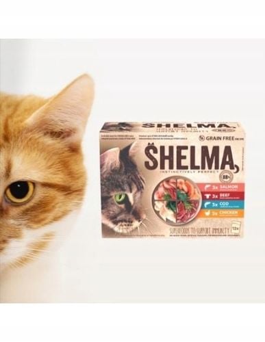 MOKRA KARMA DLA KOTA SHELMA MEGA BOX 40X85G FILECIKI MIX 4 SMAKÓW BEZ na Arena.pl