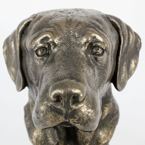Labrador Retriever - figurka - 245 na Arena.pl