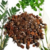 Podłoże BIGOS Lekka Ziemia do kwiatów roślin zielonych 5L Mieszanka