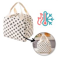 Torba termiczna lunch box 26x21x18 cm PJM45