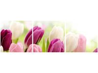 90X30CM SOCZYSTE TULIPANY TRÓJ OBRAZ