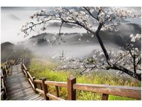 product-compare-58693783