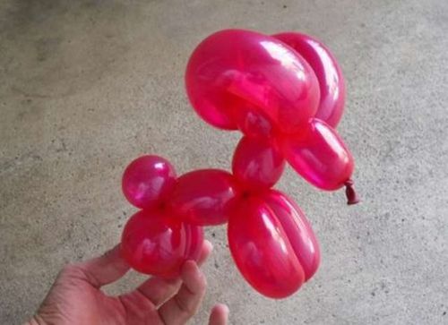 Balony Zwierzątka na Arena.pl