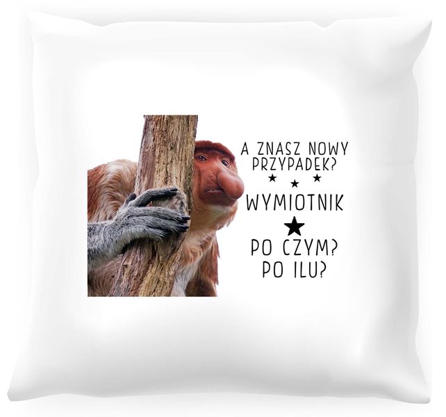 Poduszka z nosaczem -  Nowy przypadek zdjęcie 1