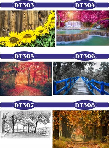 FOTOTAPETA 3d widoki rzeka most las drzewa 400x260 na Arena.pl