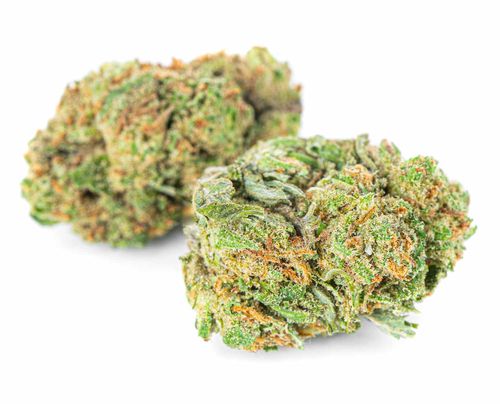 Susz konopny CBD | Mobidick | HOLENDER | 1g na Arena.pl