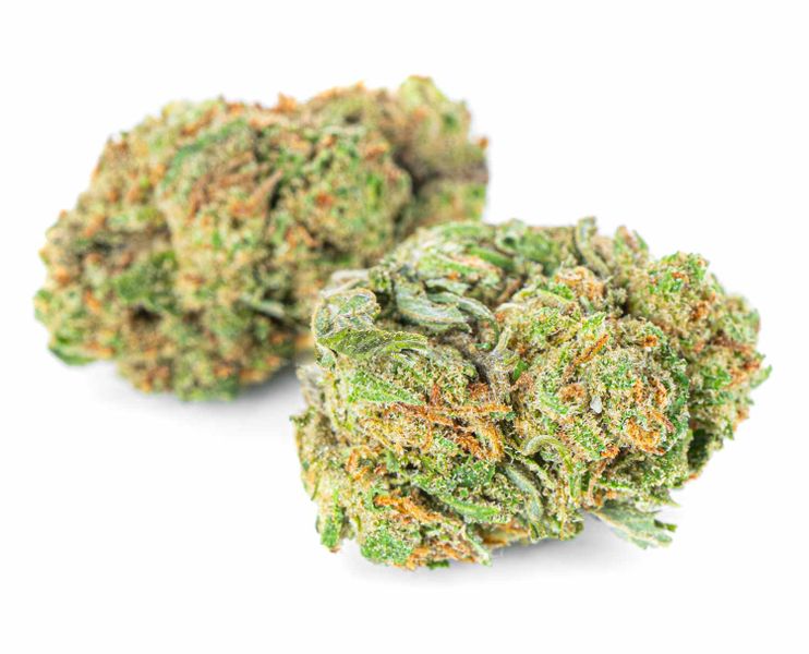 Susz konopny CBD | Mobidick | HOLENDER | 1g zdjęcie 3