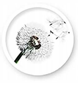 Materac Strefowy LUX 140x70 Piankowo Kokosowy na Arena.pl