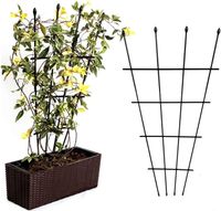 Pergola, Kratownica Wachlarzowa Podpora Do Roślin Do Doniczki Krata 2Szt