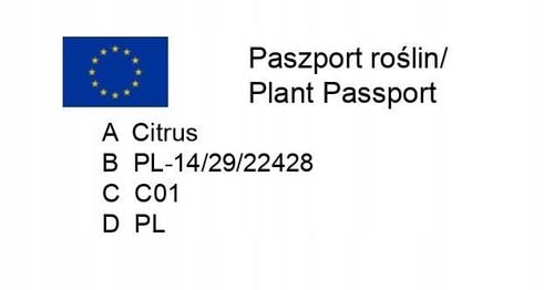 CYTRYNA SKIERNIEWICKA Cytrus na Arena.pl