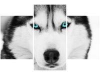 90X60CM OBRAZ GŁĘBOKIE SPOJRZENIE