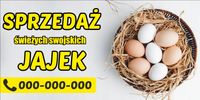 Baner reklamowy JAJA WIEJSKIE duża reklama 200x100