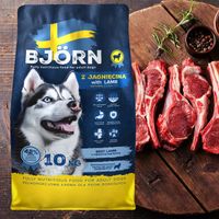 SUCHA KARMA DLA PSA BJORN RÓŻNE SMAKI MIX SMAKÓW 20KG