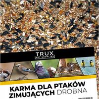 TRUX Karma ziarno dla ptaków zimujących 10kg sikorek wróbli gołębi zimowa
