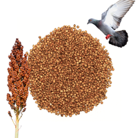 Sorgo Czerwone  Karma Dla Ptaków Naturalna Wysokoenergetyczna 5 kg