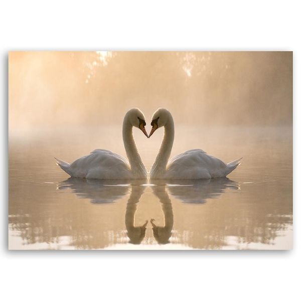 Emaga Obraz na płótnie, Łabędzie na stawie boho - 90x60 zdjęcie 3