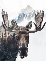 product-compare-59392850