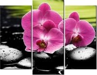 60 90CM OBRAZ 3 ELEM STORCZYKI KAMIENIACH ŚCIENNY DRUK PŁÓTNO