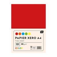 PAPIER XERO INTENSYWNE KOLORY INTERDRUK A4 80G 5X20SZT