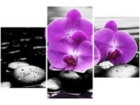 60 90CM OBRAZ 3 ELEM OSTOJA PIĘKNA ŚCIENNY DRUK PŁÓTNO