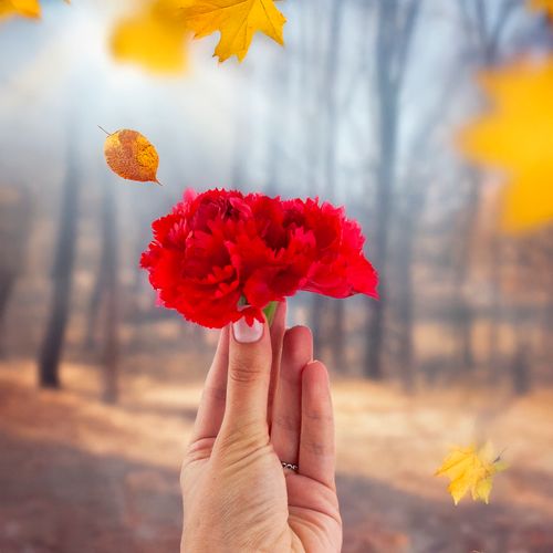 Goździk Wyrobowy Główka Sztuczne Kwiaty Jak Żywe Do Stroików Czerwony na Arena.pl