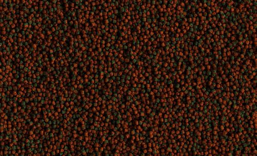 tetra cichlid algae 500ml na Arena.pl