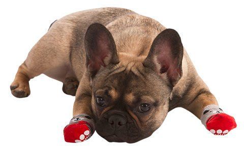 KERBL skarpetki skarpety dla psa antypoślizgowe ochronne 4 szt. M na Arena.pl