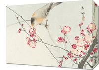 Obraz 40x30cm Songbird on Blossom Branch, Koson Vintage do Salonu