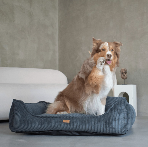 Ortopedyczne legowisko dla psa i kota MILANO GRAFITOWE XL – VISCO MEMORY na Arena.pl