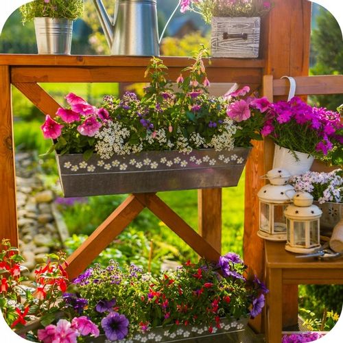 GRANULAT NA ŚLIMAKI 685g Substral Naturen Ślimakol EKO BIO + LIMA ORO 200G na Arena.pl