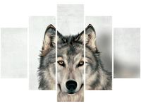 105CM 150CM OBRAZ 5 ELEM WILK SZARY DRUK