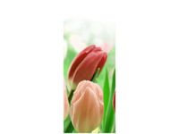 40X100CM CZERWONE TULIPANY OBRAZ PION