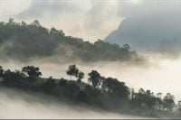 Fototapeta 3D Góry Las we Mgle Natura do Salonu 400x280