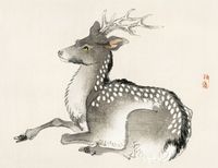 Plakat 65x50cm Elk, Kōno Bairei Japoński Vintage do Salonu