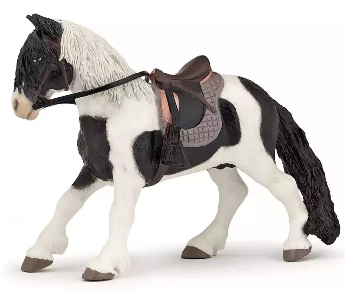 Kucyk z siodłem zdjęcie 1