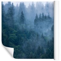 Fototapeta Las we Mgle Drzewa Natura do Salonu 90x60