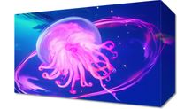 Obraz 30x20cm Neonowa Meduza