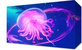 Obraz 30x20cm Neonowa Meduza
