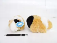 PLUSZ świnka morska łaciata 20 cm