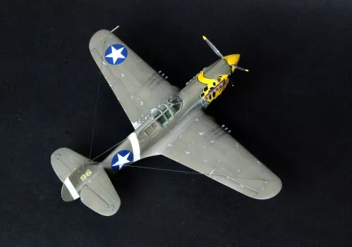 P-40E Aleutian Tiger, D-202, 1:72 na Arena.pl