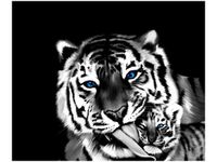 60X50CM TYGRYSY OBRAZ ŚCIAN DREWNIANE