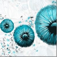 product-compare-58644536