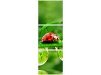 90X30CM BIEDRONECZKI TRÓJ OBRAZ DRUK