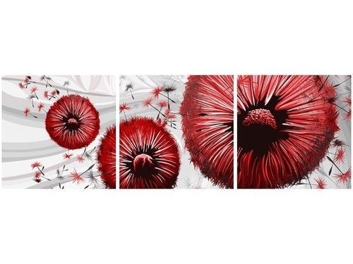 70 90CM OBRAZ 3 ELEM CZERWONE DMUCHAWCE 2 ŚCIENNY DRUK PŁÓTNO na Arena.pl