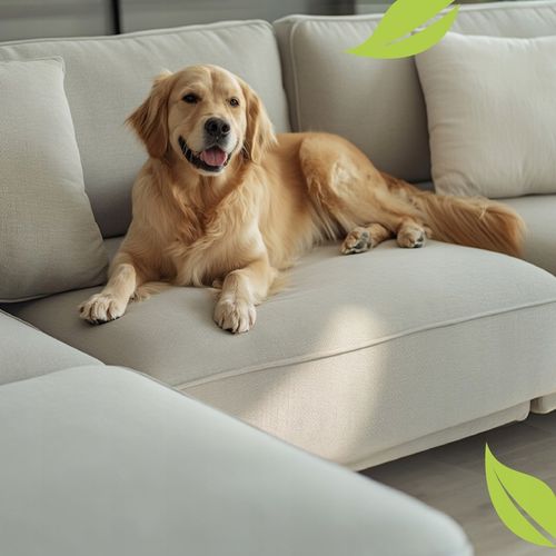 NEUTRALIZATOR POCHŁANIACZ ZAPACHÓW DO USUWANIA ZAPACHU MOCZU 1000ML na Arena.pl